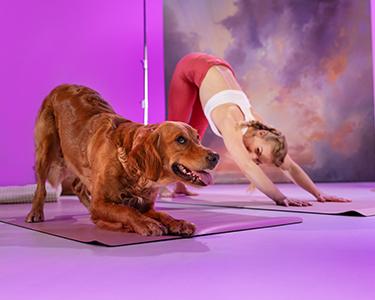 Yoga mit Hund